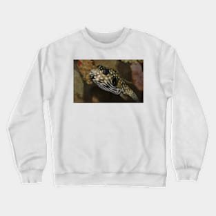 The Colorful Fish Crewneck Sweatshirt